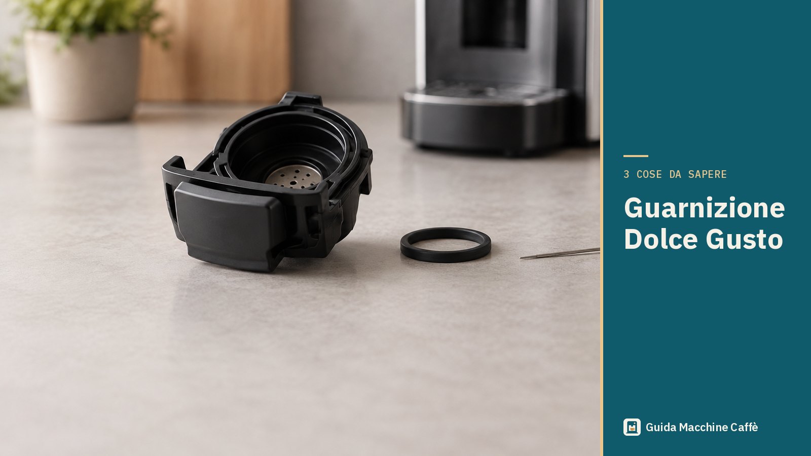 Illustrazione della guarnizione Dolce Gusto: supporto per capsule estratto con una piccola guarnizione di gomma e l'ago di pulizia