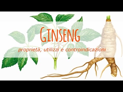 Ginseng: proprietà, benefici e contenuto di caffeina